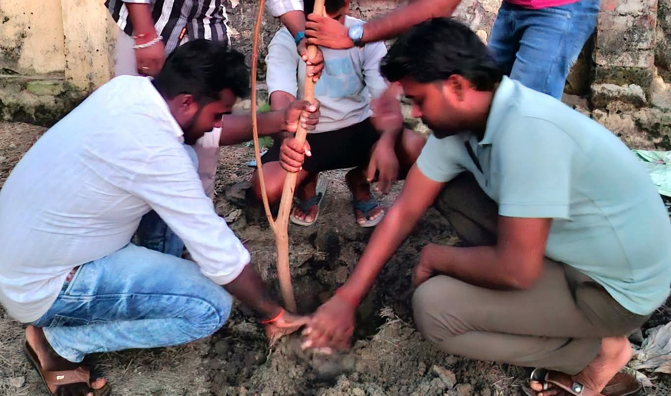 पर्यावरण संरक्षण में योगदान दें photo 2